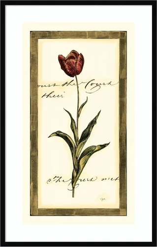 Miniatura 9 de Amanti Art Impresión artística enmarcada para pared, 17 x 25 pulgadas, diseño de tulipán I de Vision Studio, póster enmarcado para decoración