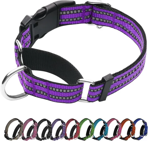 Miniatura 17 de Martingale - Collar para perro, collar reflectante ajustable de nailon con hebilla de liberación rápida (rosa intenso, talla L)