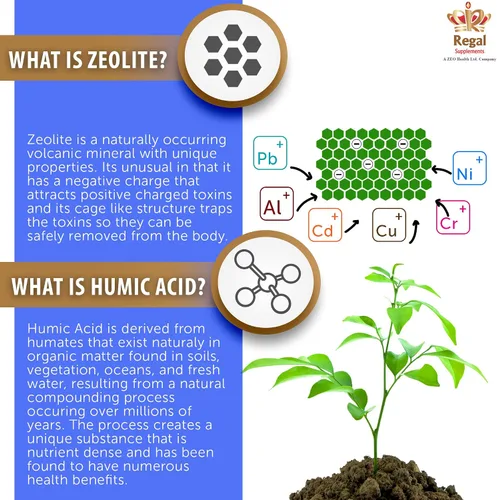 Miniatura 4 de ZEOLITE–AV Cápsulas Potente refuerzo del sistema inmunológico con ácido húmico Restaura los minerales traza, repone electrolitos y elimina