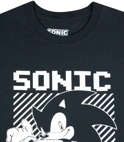 Miniatura 2 de Sonic The Hedgehog