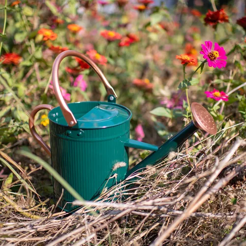 Miniatura 5 de Regadera de 1 galón, regadera de plantas, regadera de metal con boquilla extraíble, jarra de riego galvanizada, bonita lata de agua verde para uso