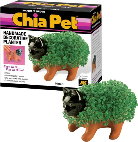 Miniatura 15 de Chia Pet Bear Cub con paquete de semillas, maceta decorativa de cerámica, fácil de hacer y divertido de cultivar, regalo novedoso, perfecto