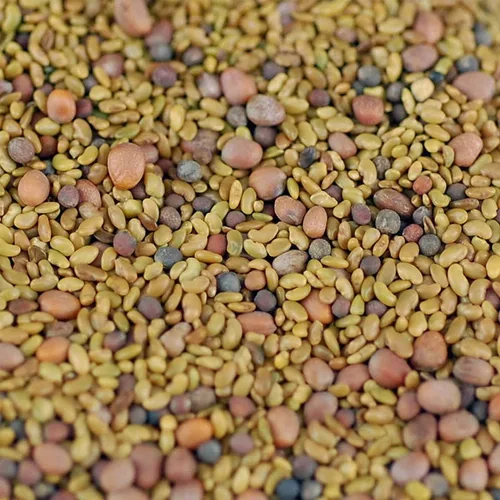 Miniatura 2 de Handy Pantry Mezcla orgánica de germinación de ensalada y microgreens – 1 libra – Mezcla de alfalfa, brócoli, lenteja, frijol mung y semillas