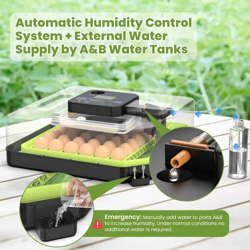 Miniatura 4 de Incubadora de 48 huevos para incubar huevos con giro automático de huevos, control de temperatura y humedad, incubadora de huevos con ventana