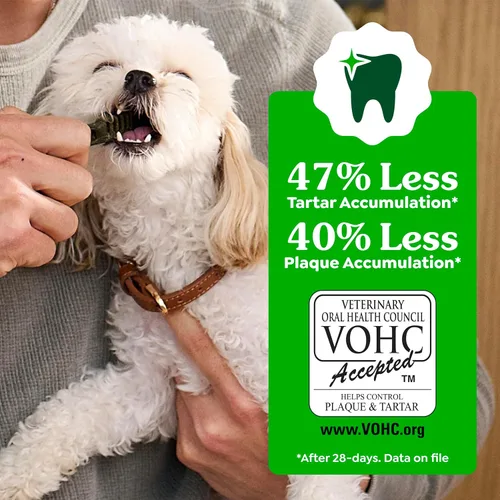 Miniatura 6 de Greenies - Golosinas naturales de cuidado dental para perros pequeños, sabor fresco, paquete de 12 onzas (20 unidades)