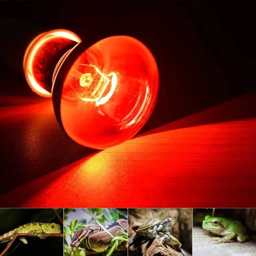 Paquete de 2 bombillas de calor de reptiles de 100 W, 110 V, E27, bombillas de calor infrarrojas, focos de calor para reptiles, pollitos anfibios,
