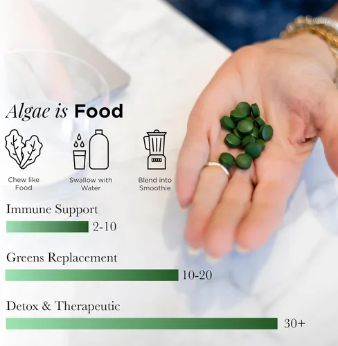 Miniatura 6 de RECOVERYbits - Tabletas orgánicas de Chlorella - Superalimento de algas a base de plantas - Clorofila - Pared celular agrietada - Energía - Sistema