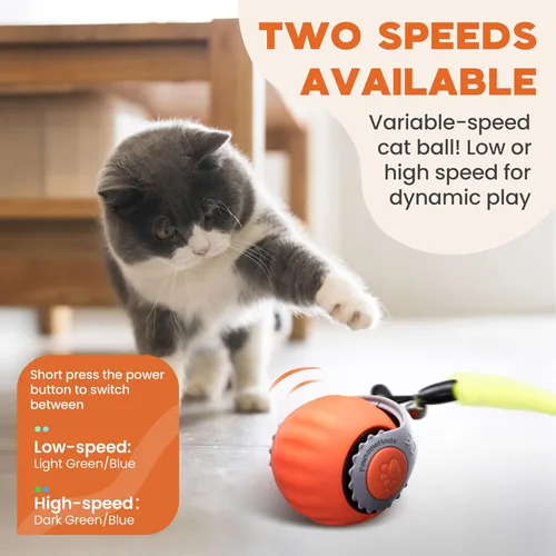 Miniatura 2 de Juguete interactivo para gatos de interior, juguete automático inteligente para gatos de dos velocidades, pelota móvil con cola, juguetes 1 Paquete