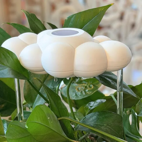Miniatura 6 de La Nube Original de Lluvia Goteante para Plantas, Nube de Lluvia para Riego de Plantas, Regalos para Amantes de las Plantas, Regalos para Mujeres