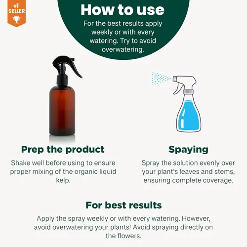 Miniatura 7 de GARDENERA Spray orgánico profesional de algas marinas para plantas AGLAONEMA – 8 oz – Rocío fertilizante de algas marinas y algas marinas totalmente