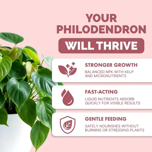 Miniatura 2 de Philodendron Fertilizer - Alimento líquido vegetal para hojas más grandes, follaje exuberante y crecimiento nuevo, 8 onzas