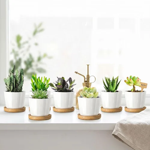 Miniatura 6 de Tosnail Paquete de 12 macetas pequeñas para suculentas con 12 bandejas de bambú, macetas redondas de cerámica blanca de 2.5 pulgadas, pequeñas