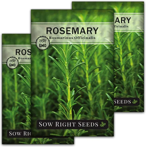 Miniatura 9 de Sow Right Seeds - Semilla de romero para plantar - Paquete de reliquia sin OMG con instrucciones para plantar y cultivar un jardín de hierbas