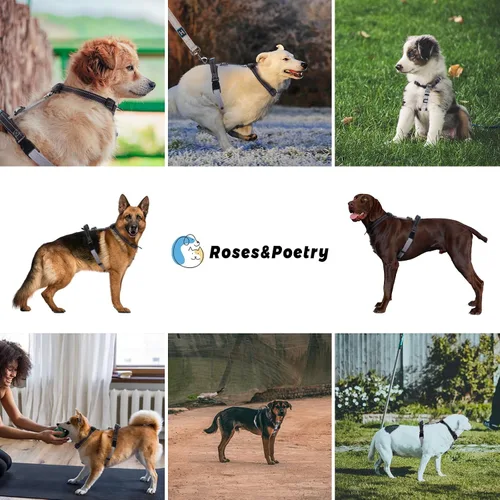 Miniatura 6 de Roses&Poetry Juego de arnés y correa para cachorros y perros, arnés para perros sin tirones ajustable reflectante, arneses de halter para perros