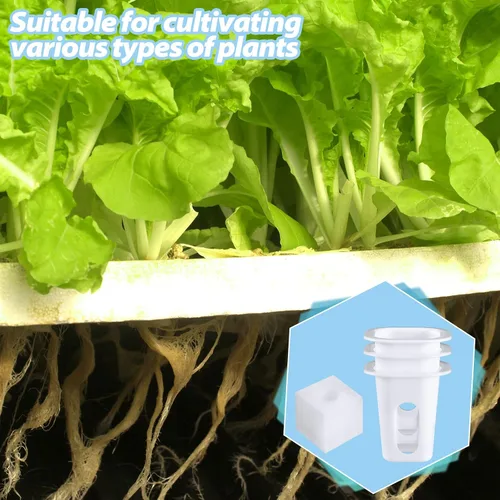 Miniatura 6 de Hoolerry El kit de sistema de cultivo hidropónico de 100 piezas incluye 50 cestas de cultivo hidropónicas y 50 esponjas cuadradas, iniciador