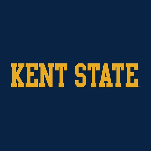 Miniatura 2 de Kent State Golden Flashes Basic Block, Team Color T Shirt, College, University