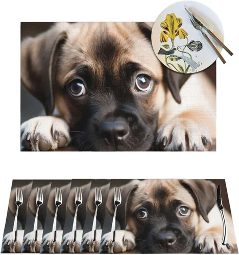 6 PCS PVC Placemats Set Place Mats Cute Puppy with Big Eyes Non-Slip Weave Place Mats 12" x 18" Farmhouse Table Mat Set for Family Dinners Wedding