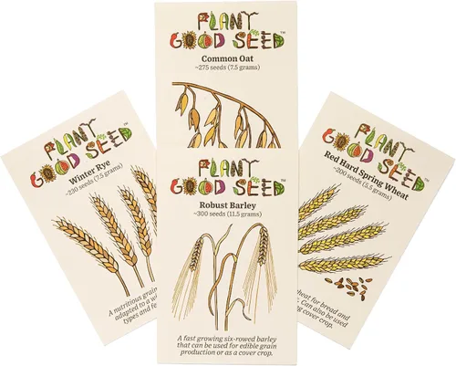 Miniatura 10 de Plant Good Seed Semillas orgánicas de trigo de primavera de águila negra, paquete de 175, semillas tradicionales para plantar granos, verduras