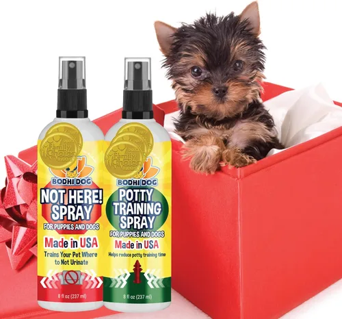Bodhi Dog ¡No aquí! Spray y Spray de Entrenamiento para Orinal & Entrenamiento para Orinal para Cachorros - Entrenamiento para Almohadillas de Nuevo