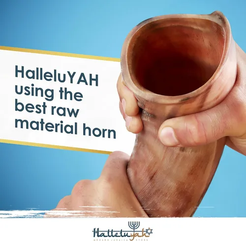 Miniatura 4 de HalleluYAH Shofar Kosher original de cuerno Kudu medio pulido de Israel
