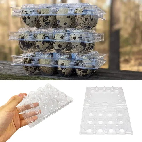 Miniatura 4 de 50 cajas de huevos de codorniz, 12 rejillas de almacenamiento de huevos pequeños, bandejas de cartón a granel para huevos pequeños, codorniz