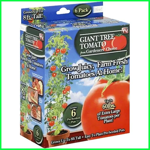 Miniatura 7 de Gardeners' Choice - Árbol de tomate gigante