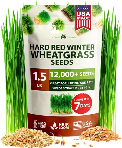 Miniatura 86 de HOME GROWN Mezcla de semillas germinantes de primera calidad, microgreens 118,200 semillas para cultivo en interiores, brócoli, alfalfa, rábano