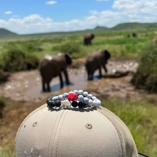 Miniatura 8 de Fahlo Pulsera de seguimiento de elefantes, elástica, soporta Save The Elephants, talla única para hombres y mujeres