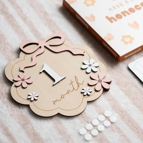 Miniatura 2 de Señal de hito mensual para bebé, hito mensual del bebé de 1 a 12, hito del mes para bebé, hito del mes del bebé, accesorios de fotografía para B11