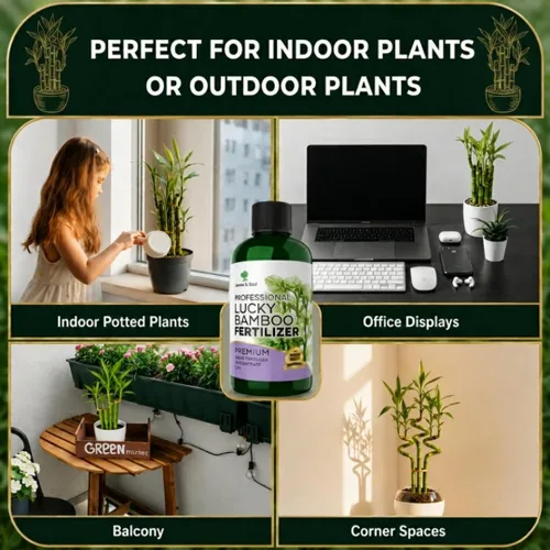 Miniatura 6 de Fertilizante líquido profesional para bambú de la suerte Concentrado 3-1-2 para plantas con flores Mezcla multiusos y suministros de jardinería