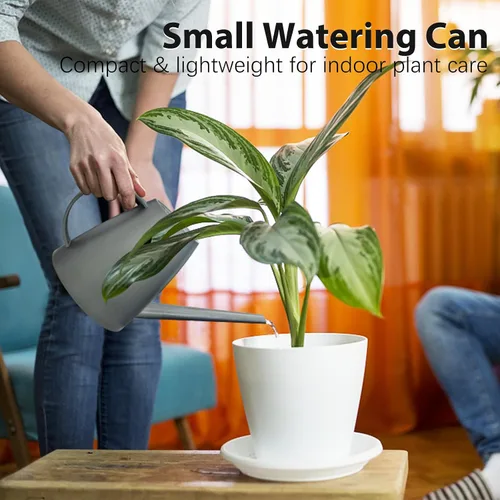Miniatura 3 de Regadera para plantas de interior y exterior, modernas regaderas pequeñas con boquilla extraíble, regadera de boquilla larga para plantas bonsái