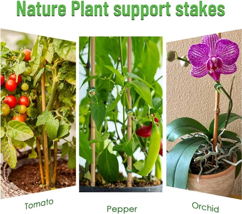 Miniatura 4 de 35 piezas de estacas para plantas, estacas de jardín de bambú natural premium, varillas de bambú de soporte para plantas de interior y exterior