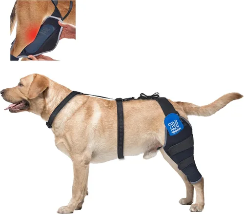 Rodillera para perro para desgarro del ligamento cruzado anterior, soporte de compresión caliente y fría, soporte de rodilla para perros mayores con