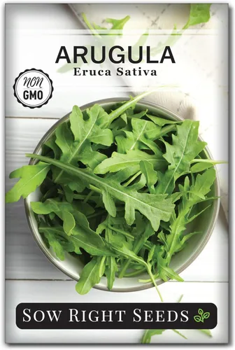 Sow Right Seeds - Semillas de rúcula para plantar - Semillas de reliquia sin OMG con instrucciones para plantar un huerto casero - Interior,