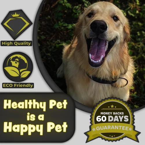 Miniatura 6 de H&H Pets Juego de cepillos de dientes de bambú para perros y gatos, cerdas suaves y cepillo de dientes de madera biodegradable, suministros