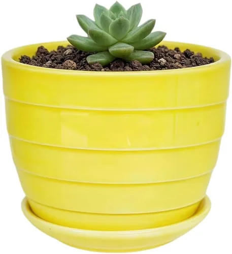 Miniatura 51 de Bonita maceta circular de cerámica para decoración del hogar y jardín, suculentas, cactus, maceta no incluida (azul, 3.19 pulgadas)