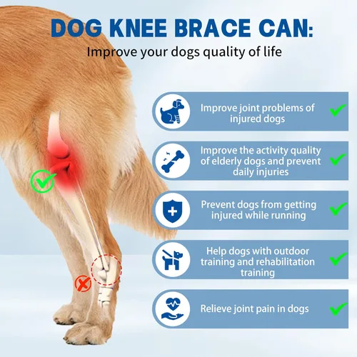 Miniatura 2 de Rodillera para perro de 4 patas, rodillera ajustable para perro con material reflectante, proporciona un fuerte apoyo para perros pequeños, medianos