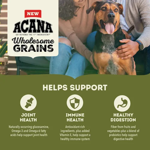 Miniatura 3 de ACANA Granos saludables Alimento seco para perros de raza grande Receta para adultos Bolsa de 22.5 libras