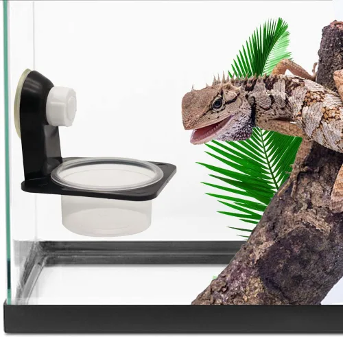 Miniatura 4 de Repisa de alimentación Gecko de doble cresta con 10 cuencos de 0.5 onzas, comedero desmontable con ventosa para reptiles para lagartos, tortugas