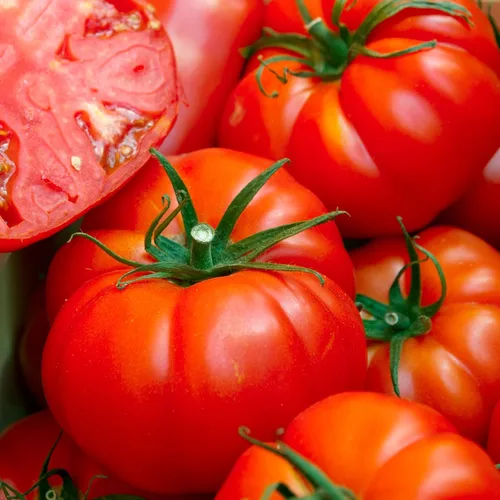 Miniatura 5 de Semillas de tomate orgánico (Ponderosa Red Beefsteak) – Aproximadamente 75 semillas – USDA Orgánico, Sin OGM, Polinización Abierta, Herencia, Origen