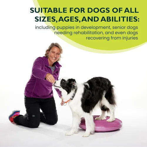 Miniatura 4 de FitPaws® Disco de equilibrio para perros, 22 pulgadas, Razzleberry Equipo de ejercicio para perros Herramienta de entrenamiento para fuerza
