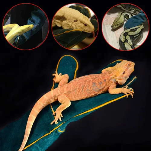 Miniatura 6 de Guantes de manejo de animales, a prueba de mordeduras, de cuero de 23.7 pulgadas, a prueba de mordidas, para agarrar reptiles, aseo, viajes al