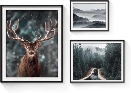 Miniatura 9 de Arte de pared enmarcado con vista rústica: 3 piezas de granja en blanco y negro, vaquero brumoso, granero, fotografía, moderno, molino de viento