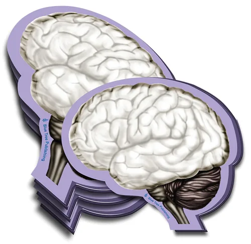 Miniatura 16 de Notas Adhesivas de Anatomía