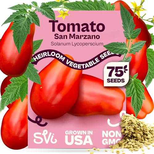 Miniatura 14 de SVI 550 semillas grandes de tomate cereza roja (Solanum lycoperscium) - Paquetes de semillas de tomates cherry, mini tomates en la vid - Semillas