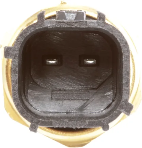 Miniatura 4 de Delphi TS10154 Sensor de temperatura del refrigerante del motor, 1 paquete