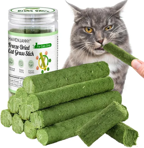 Palillo de dentición de hierba para gatos, palo de hierba de gato enlatado para gatos de interior, gatos trata alivio de bolas de pelo y limpieza de