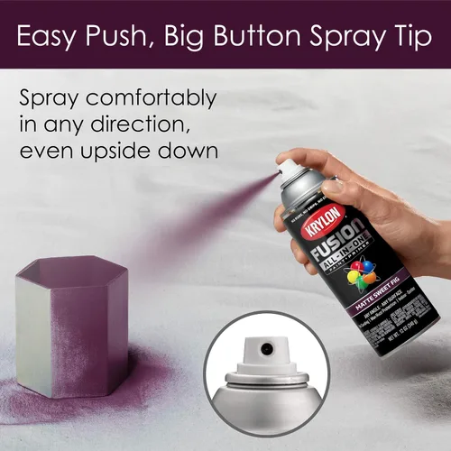 Miniatura 259 de Krylon Fusion - Pintura en aerosol adhesiva todo en uno para uso en interiores y exteriores, 12 onzas, aluminio