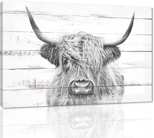 Miniatura 37 de Póster moderno de pared de vaca de las tierras altas, póster impreso en lienzo alpino desierto, decoración de pared de animales para sala de estar