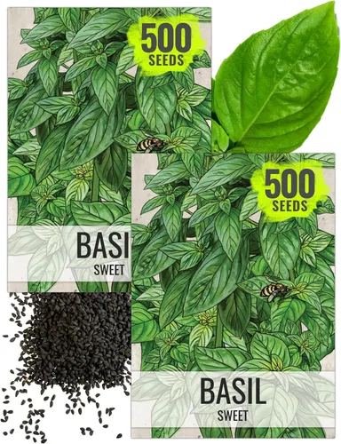Miniatura 28 de Seed Needs Semillas de albahaca para plantar hierbas de albahaca tailandesa, sin OMG y semillas de hierbas sin tratar para cultivar un jardín